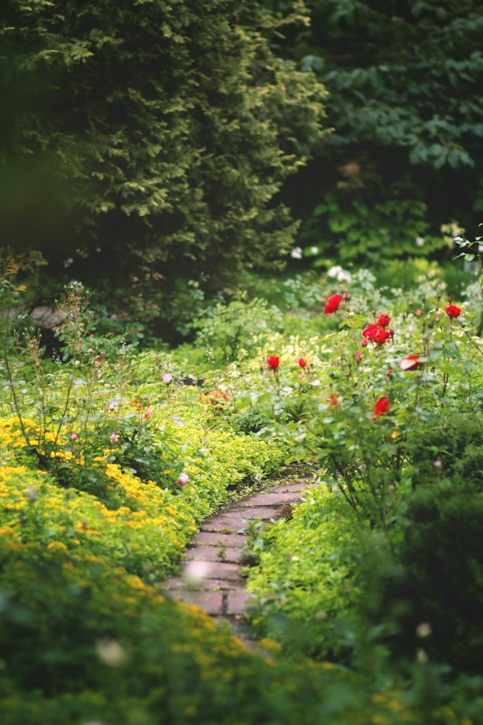 Jardin aménagé avec allée en pierre et massifs fleuris